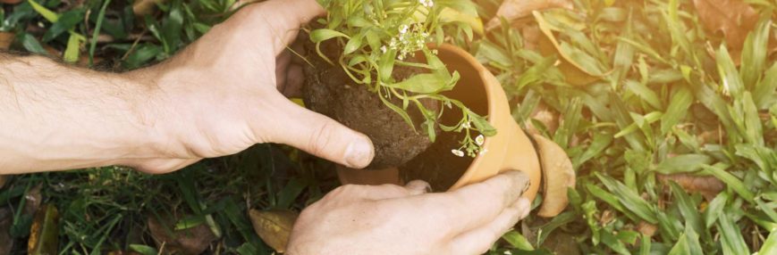 O que significa plantar um demônio no mundo?