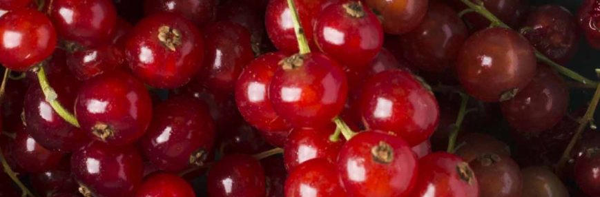 Cranberry e D-Manose contra cistite