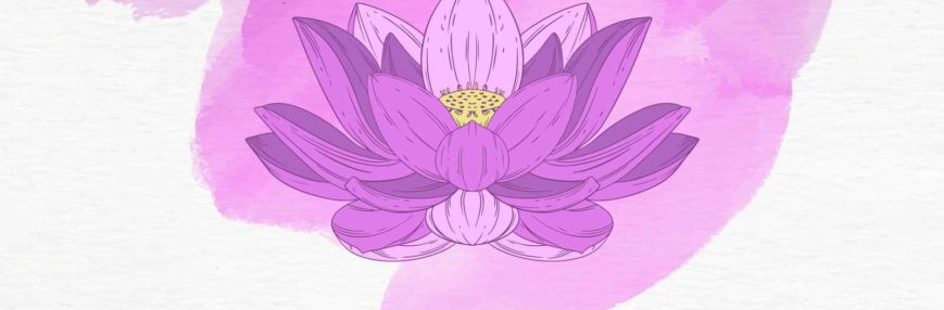 A flor de lótus e a sua mente; entenda essa relação