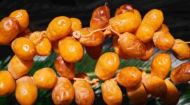 Tâmaras: o “pão do deserto”